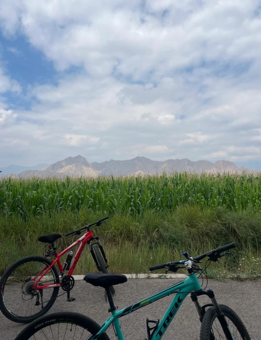 全球极限骑行挑战,穿越世界各大风景名胜的简单介绍 全球极限骑行挑战,穿越世界各大风景名胜的简单介绍