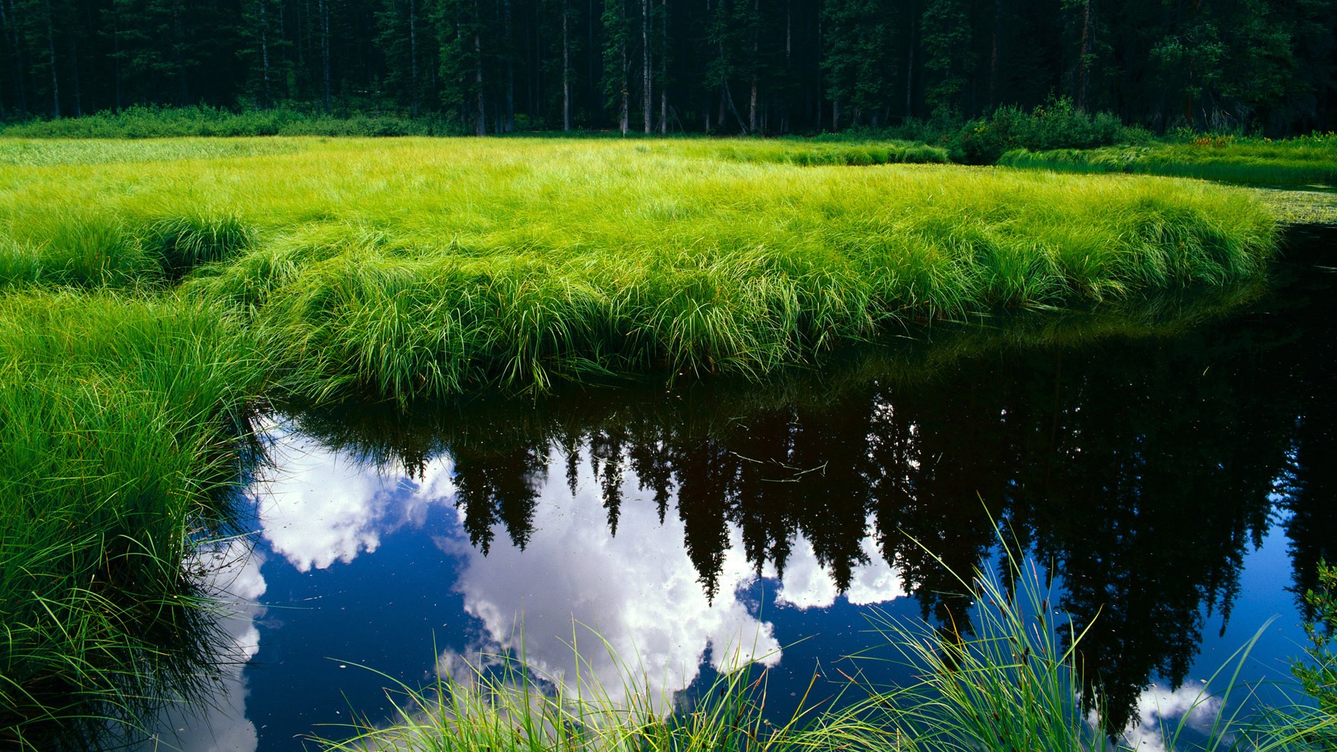 上港球员集训备战,为即将到来的比赛做最好的准备!,上港队训练基地