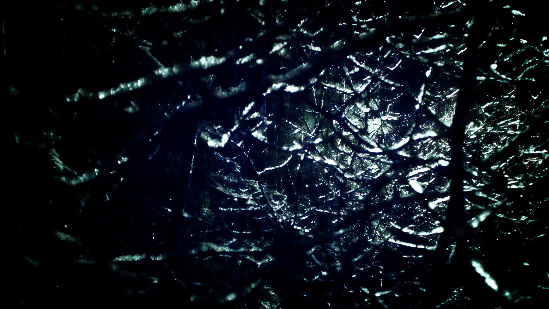 九游娱乐网页版-布莱顿客场逼平纽卡斯尔，缓解颓势，布莱顿吧