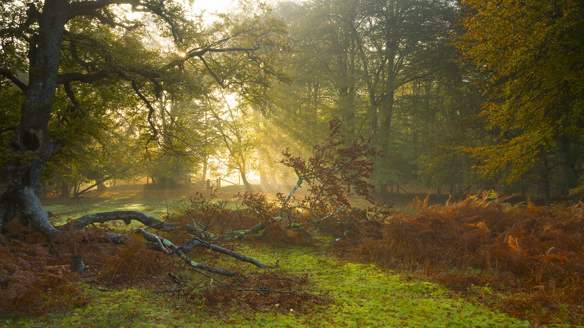 九游体育在线-摩洛哥男足在巴黎奥运会上取得历史性突破，摩洛哥足球明星