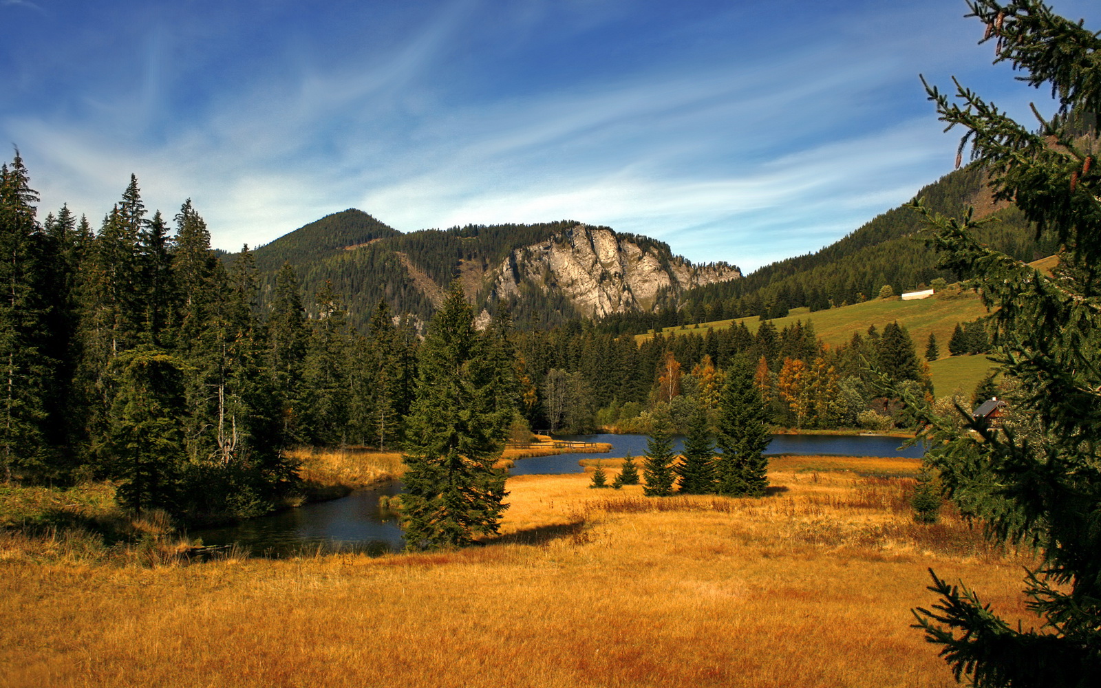 贝林厄姆荣膺欧冠最佳年轻球员，欧冠历史最年轻出场球员