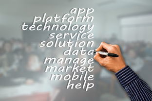 九游体育直播-瑞典队未来：如何建立更具竞争力的国际品牌，瑞典队分析